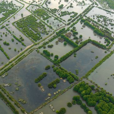 Flood Insurance